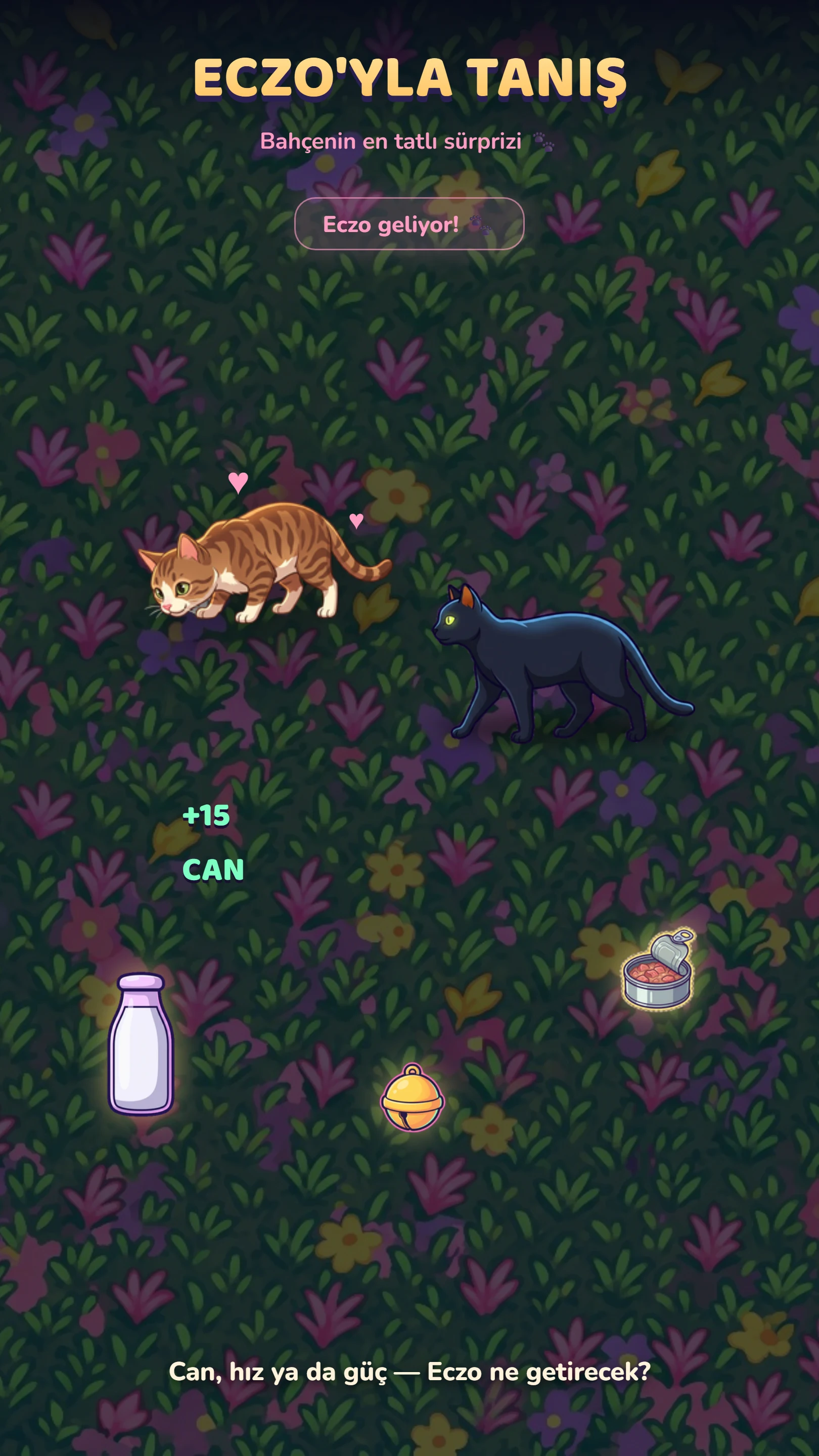 Salem Adventures screenshot